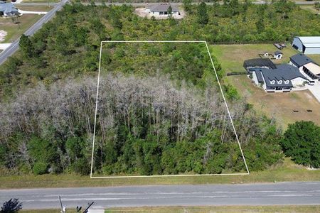 For Sale - Netherland Wedgefield FL 32833