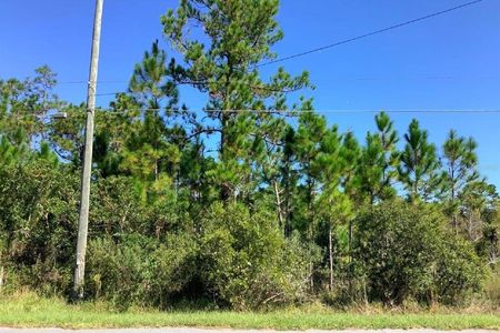 For Sale - Starry Wedgefield FL 32833