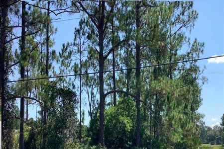 For Sale - Caesar Wedgefield FL 32833