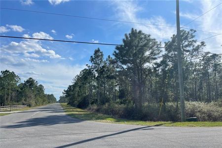 For Sale - Quinella Wedgefield FL 32833