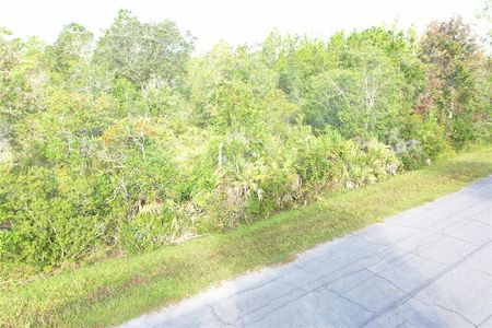 For Sale - Tintagel Wedgefield FL 32833