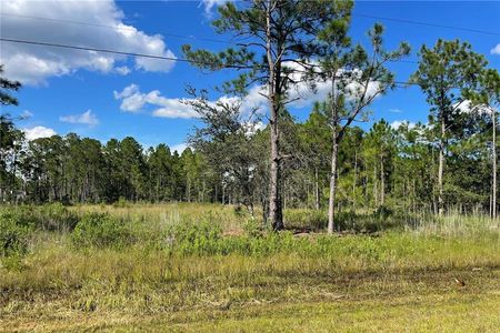 For Sale - 19115 Meredith Orlando FL 32833