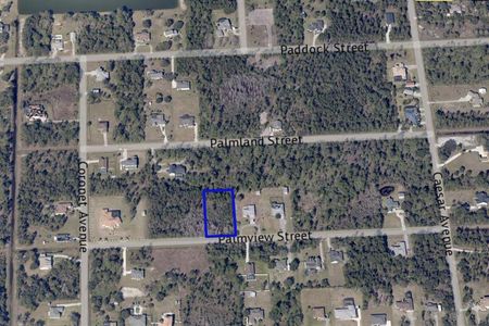 For Sale - Palmview Wedgefield FL 32833