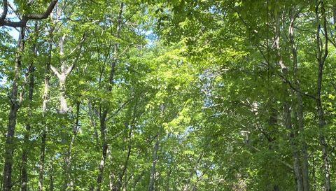 916 Arbor Dr Lakemont