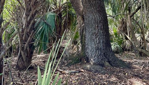 1701 Cabbage Wood Rd Okeechobee