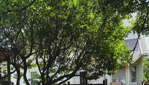 7206 Winding Brook Rd