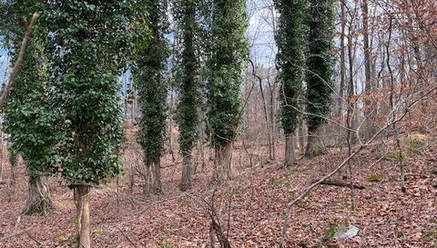 0 Lower Dixie Lake Rd