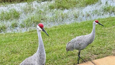 146 JACK NICKLAUS LANE