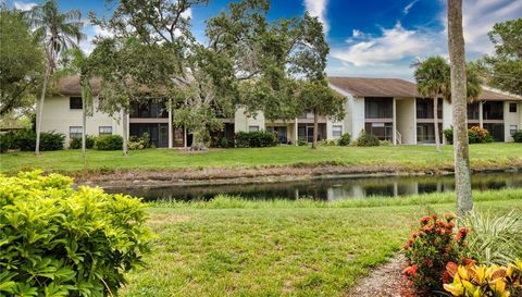 752 White Pine Tree