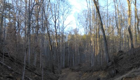 371 Pressmens Home Rd