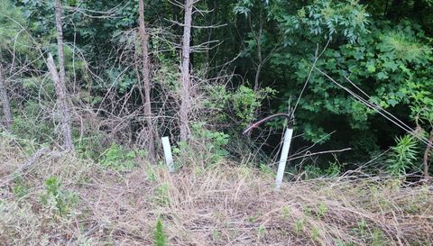 0 Reece Mountain Road Ellijay Ga 30540