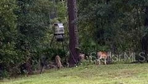 490 Saint Regis Grade