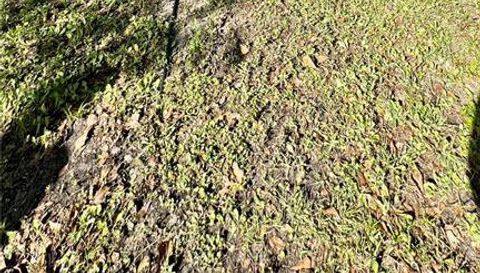 6709 COOPER CROSSING COURT