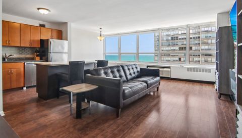 4800 S CHICAGO BEACH Drive