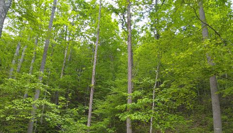 371 Pressmens Home Rd