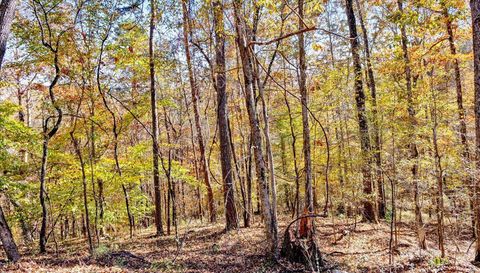 0 Hammock Rd Trussville