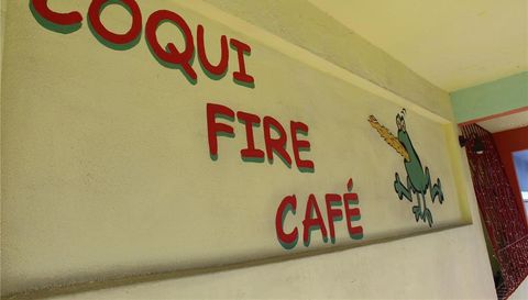 17 Calle Carlos Lebrun