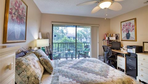 752 White Pine Tree