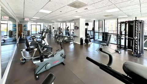 1122 N Clark St APT 3606