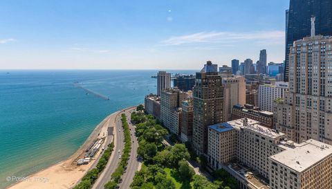1040 N Lake Shore Drive