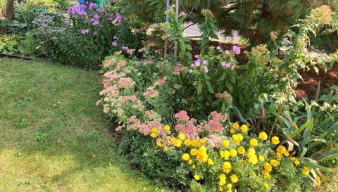 49 Sheridan Avenue S