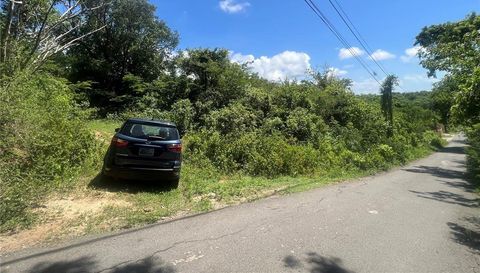 995 Carretera Estatal 995
