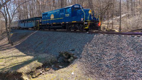 605 Toccoa Preserve Lane