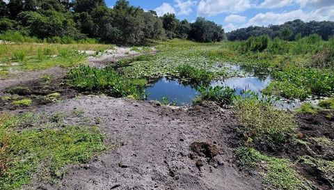 4031 Old Floral City