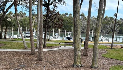 100 CANOPY WALK LANE