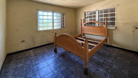 425 BRAVOS DE BOSTON