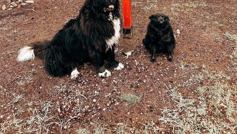 28931 Tall Moon Circle