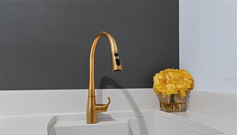 241 CONSERVATORY DRIVE