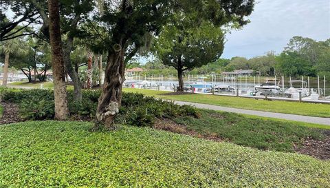 100 CANOPY WALK LANE