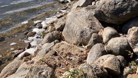 XXXXX N Lake Shore Drive