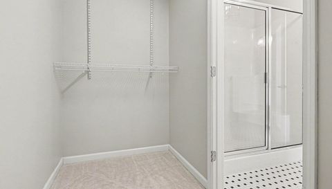 251 Carriage Trace Ln