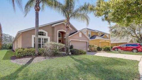 927 Orange Cosmos Blvd