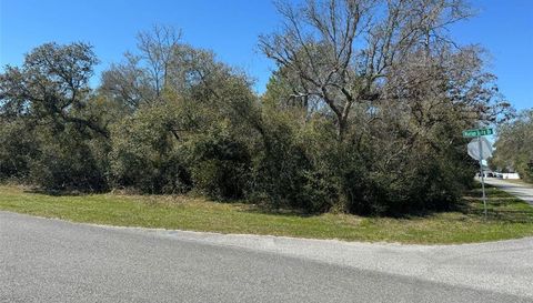 Lot 1 Block 829 Marion Oaks Unit  5