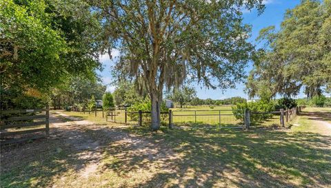 31905 County Road 52