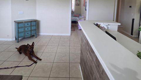 7051 Chatum Light Run