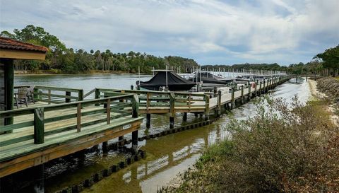 1200 Canopy Walk Lane
