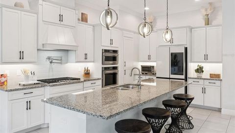 671 CANOPY ESTATES DRIVE