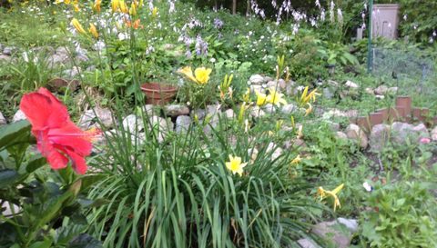 5833 Creek Valley Rd