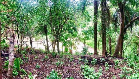 Roatan Island At Caribbean, Honduras