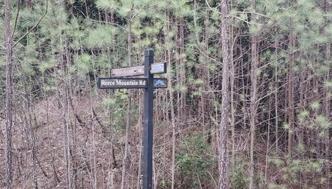 0 Reece Mountain Road Ellijay Ga 30540