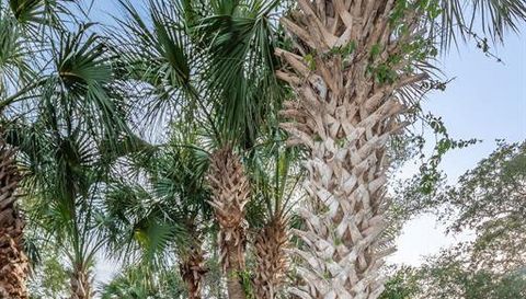 4844 ANCHORAGE COVE