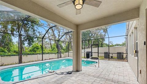 14218 BLUE DASHER DRIVE
