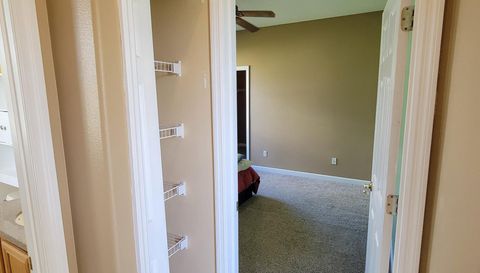 3145 Twisted Oak Loop