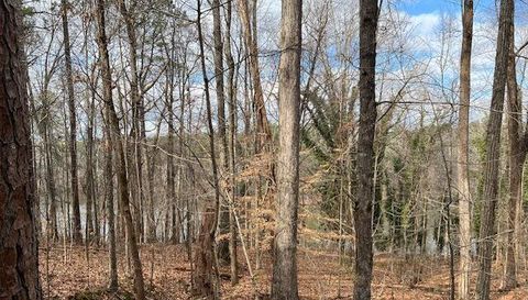 0 Lower Dixie Lake Rd