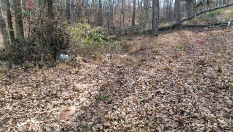 881 S Little New York Trail