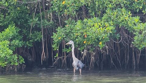 360 GULF OF MEXICO DRIVE